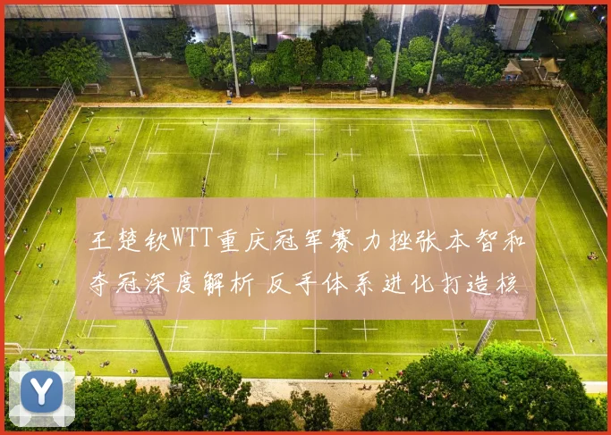 王楚钦WTT重庆冠军赛力挫张本智和夺冠深度解析 反手体系进化打造核心竞争壁垒