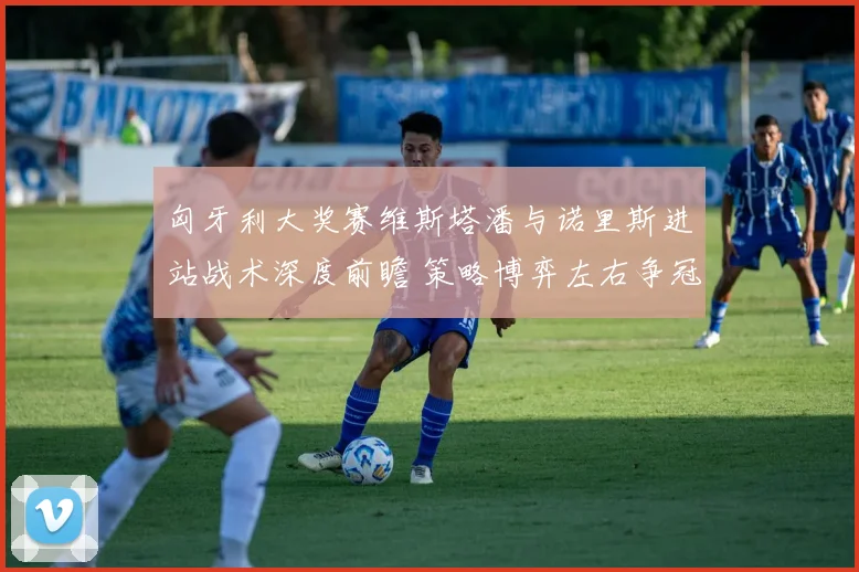 匈牙利大奖赛维斯塔潘与诺里斯进站战术深度前瞻 策略博弈左右争冠格局