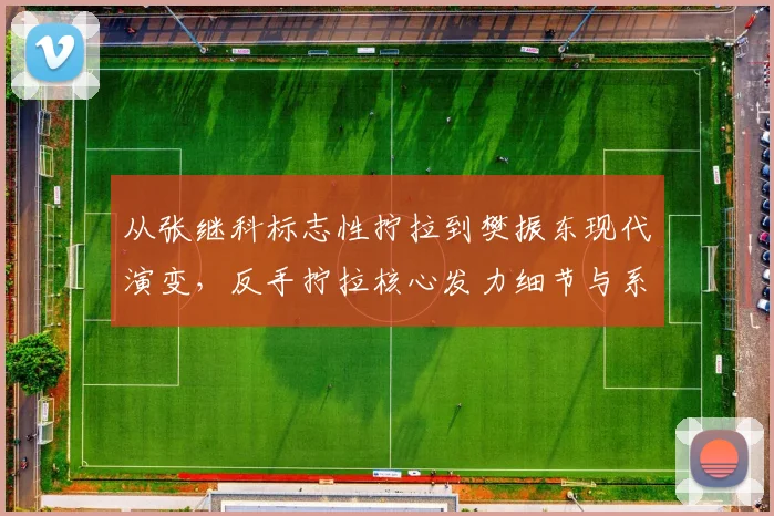 从张继科标志性拧拉到樊振东现代演变,反手拧拉核心发力细节与系统教学解析